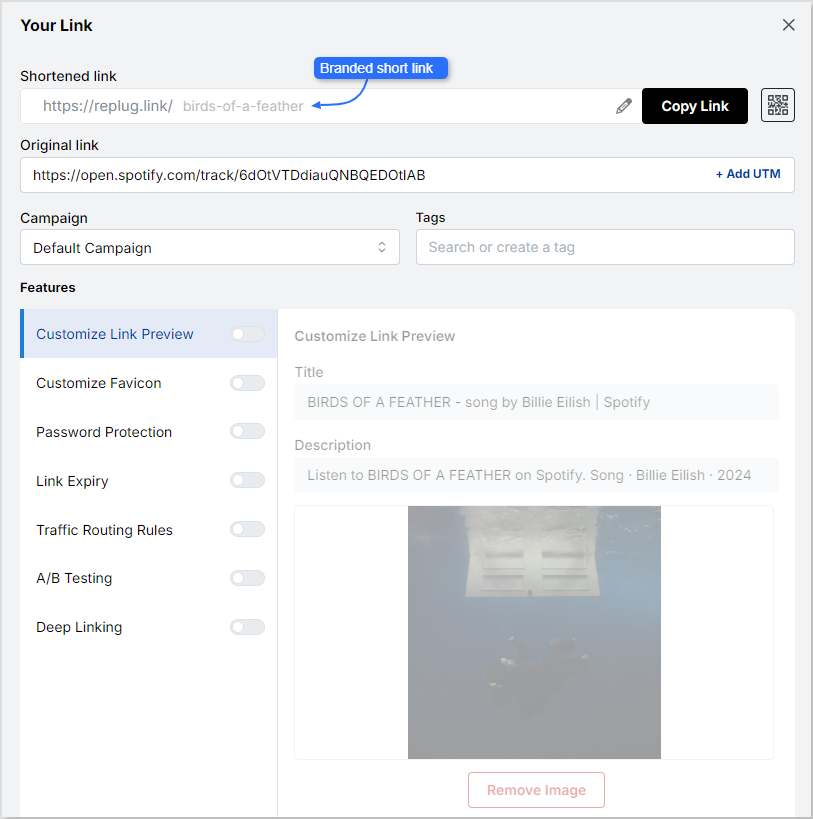 Branded URL - replug.io