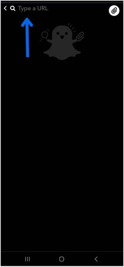 Enter snapchat URL