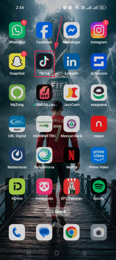 TikTok app on mobile