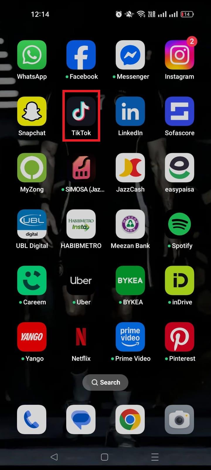 TikTok app on mobile