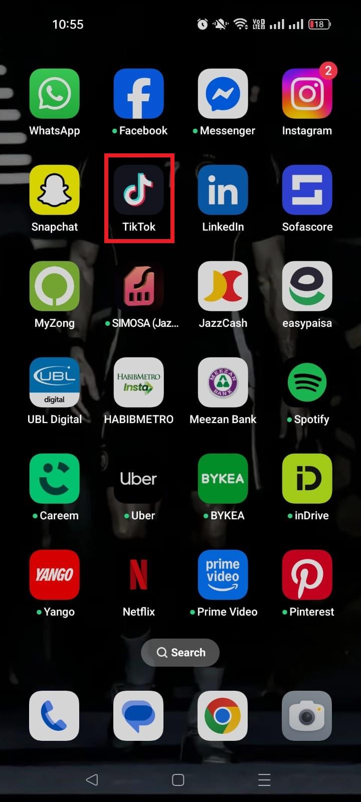 TikTok app
