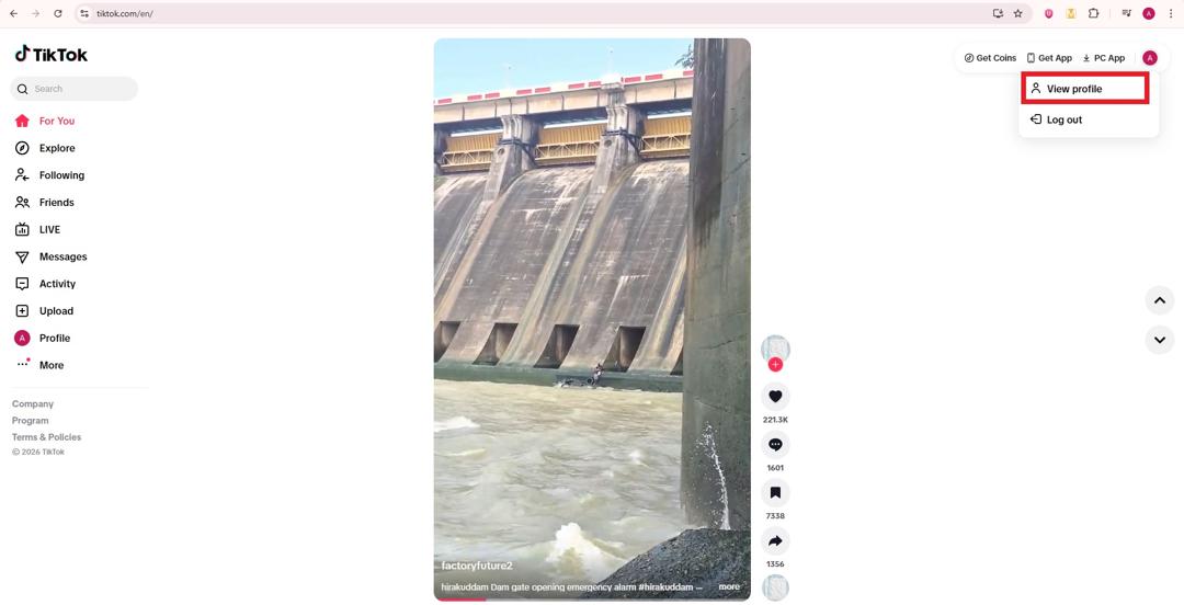 TikTok view profile option on web