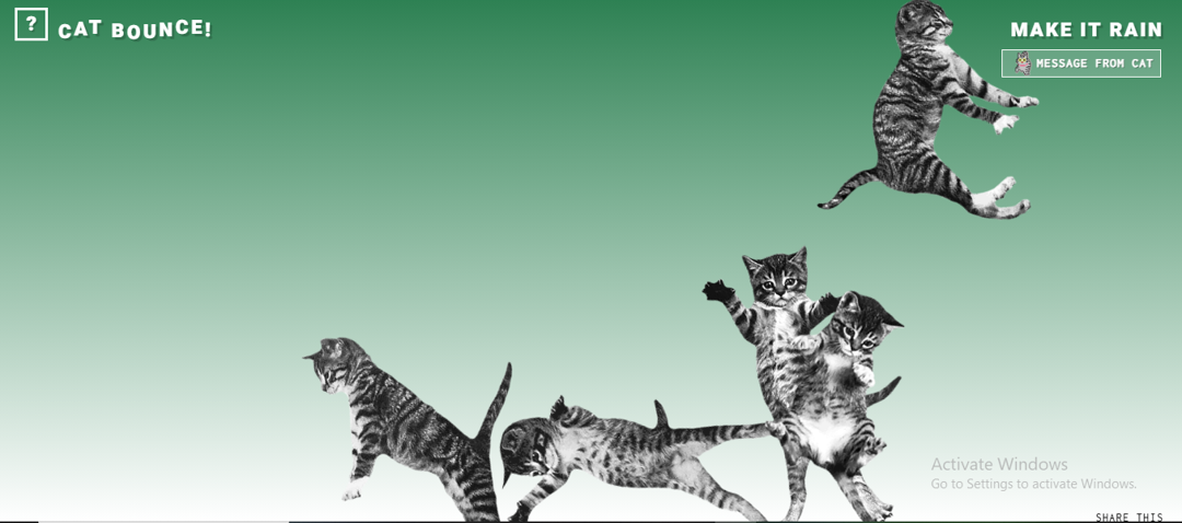 Cat Bounce!