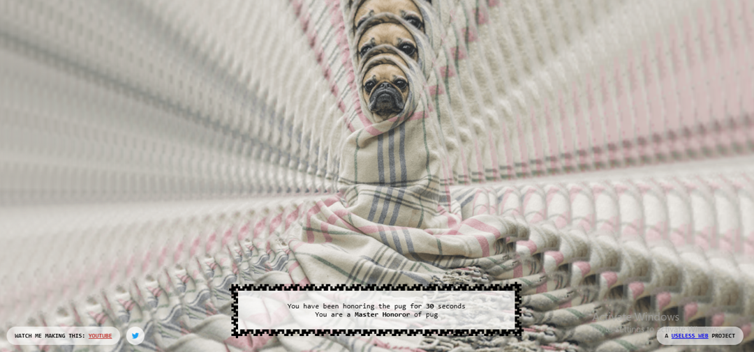 The Pug In A Rug