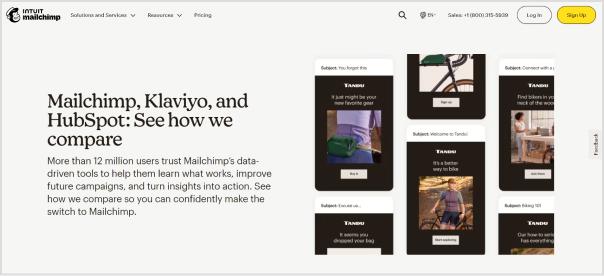 brand-identity