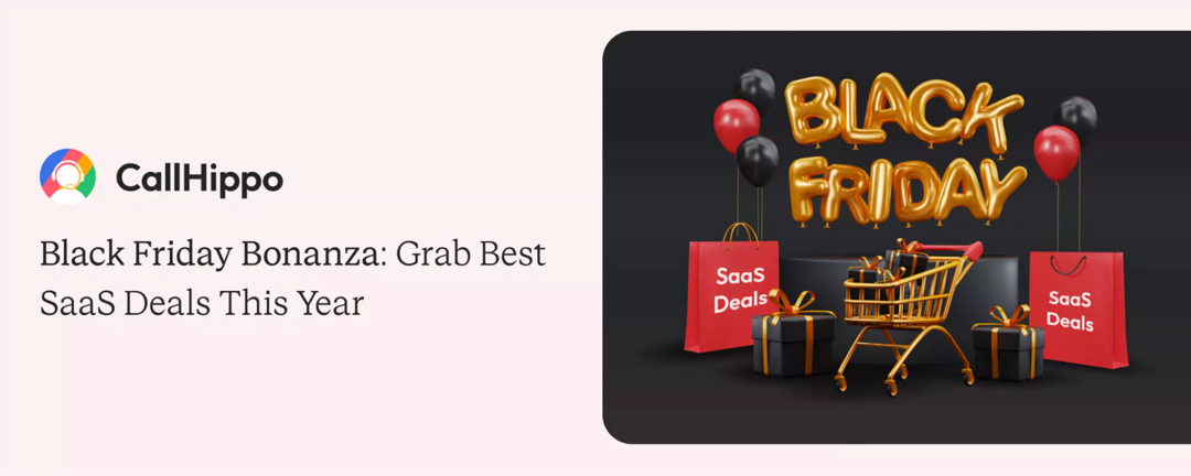 CallHippo Black Friday Sale 2025