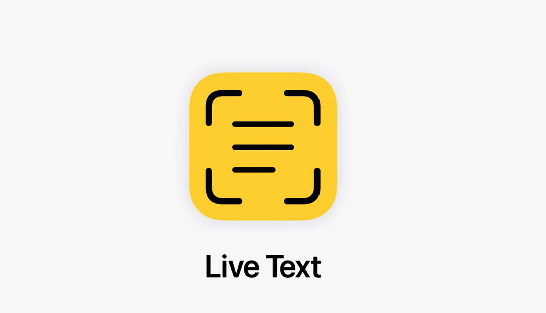 Live Text iPhone