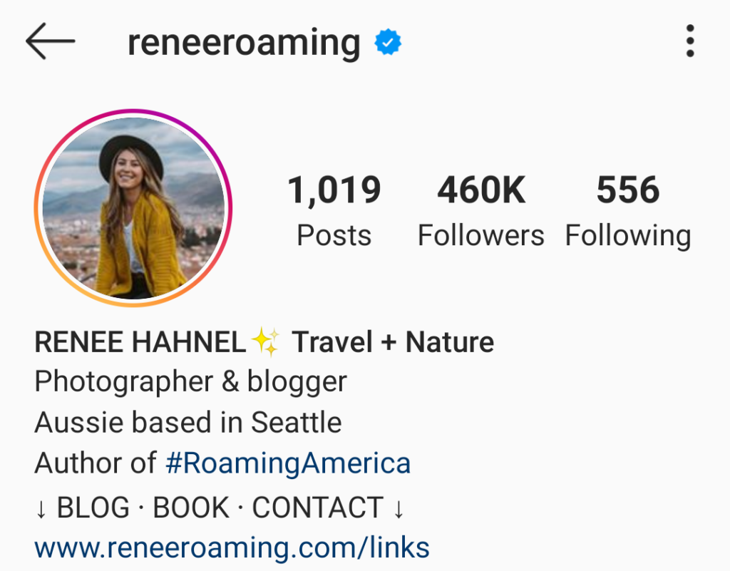 Bio section on Instagram