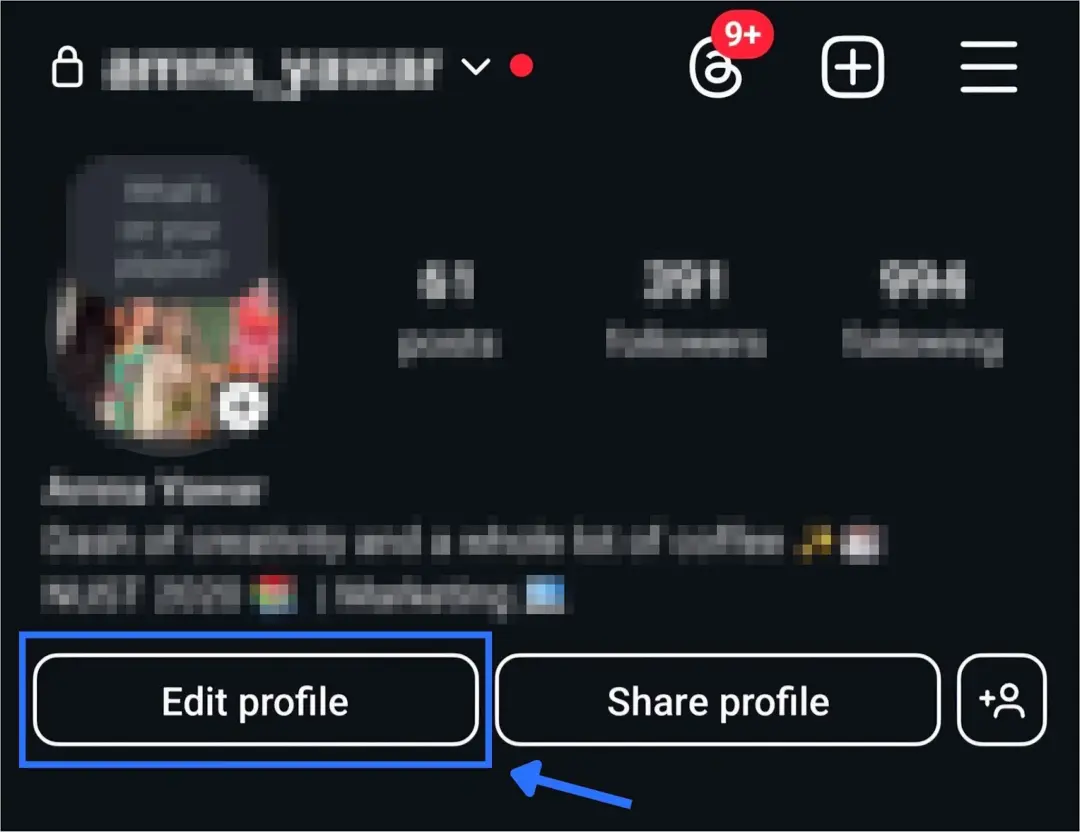 Instagram profile screen with the Edit profile button highlighted (personal details pixelated)