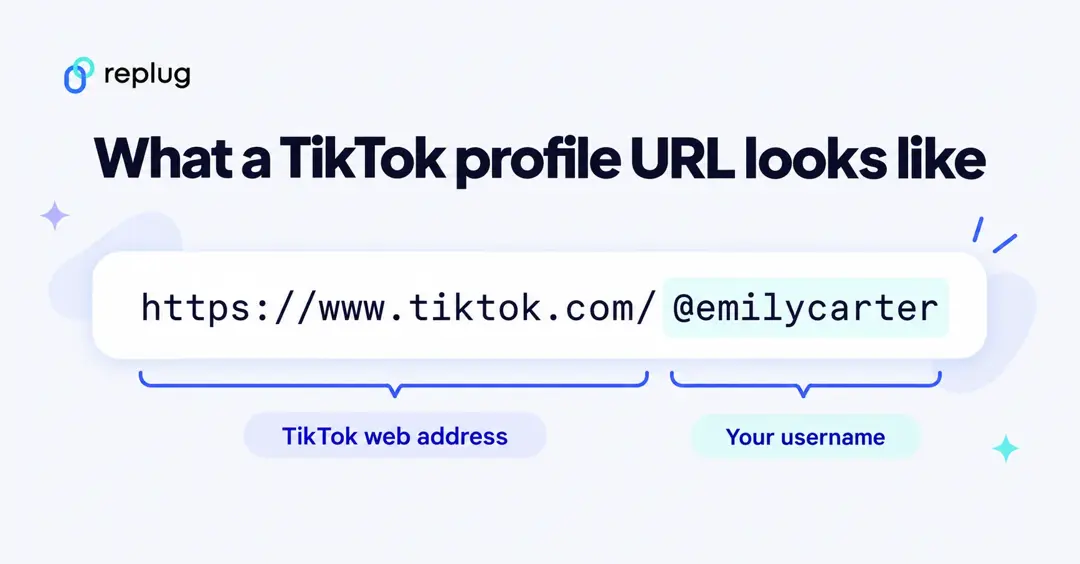 Anatomy of a TikTok profile URL: https://www.tiktok.com/ is the TikTok web address and @emilycarter is your username