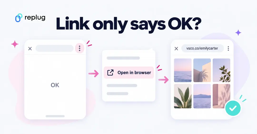 VSCO link only says OK on Instagram: open the in-app browser menu, choose Open in browser, and the vsco.co/emilycarter gallery loads