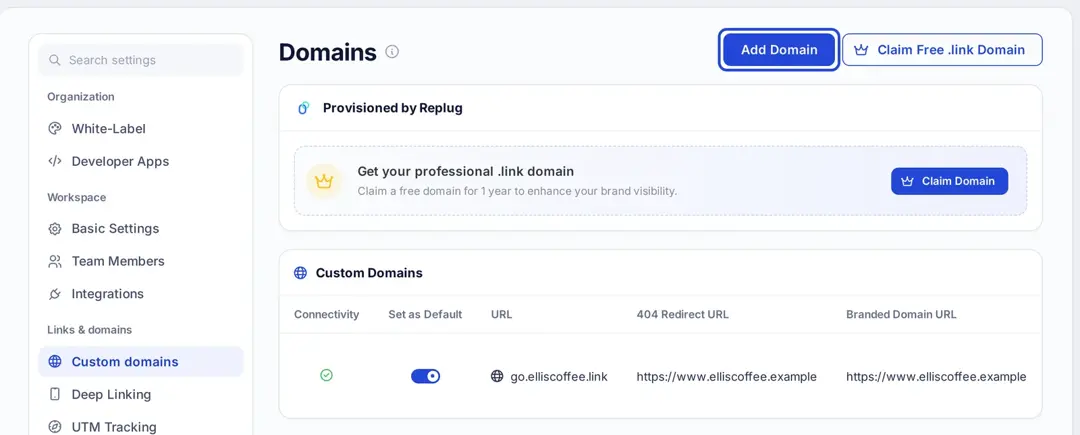 Replug Settings, Custom domains page with the Add Domain button highlighted and a connected custom domain